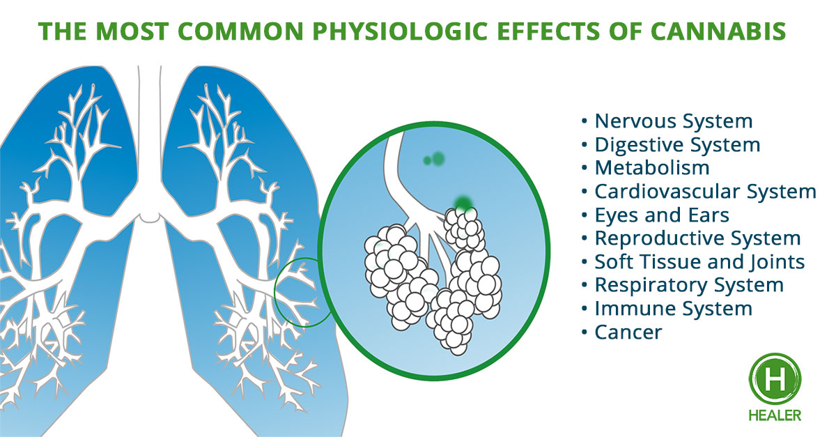 The Health Effects of Cannabis