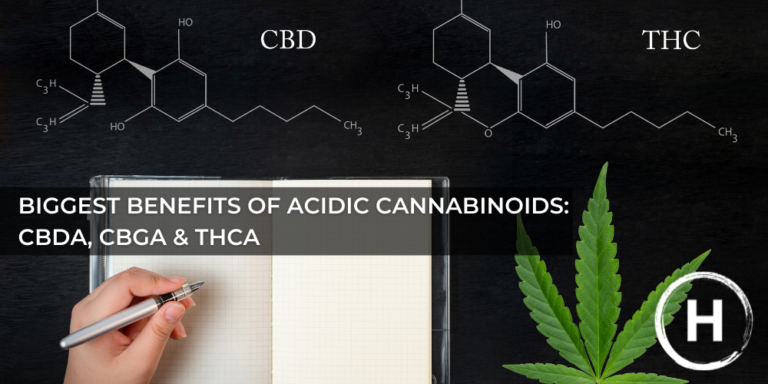 Healer_benefits_of_acidic_cannabinoids_cbda_cbga_thca